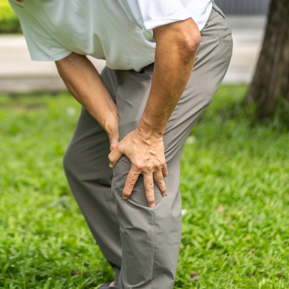 Sick unhappy senior adult elderly asian man touching her muscle injury leg suffering from muscles knee pain ache at home.physical injury and healthcare problem